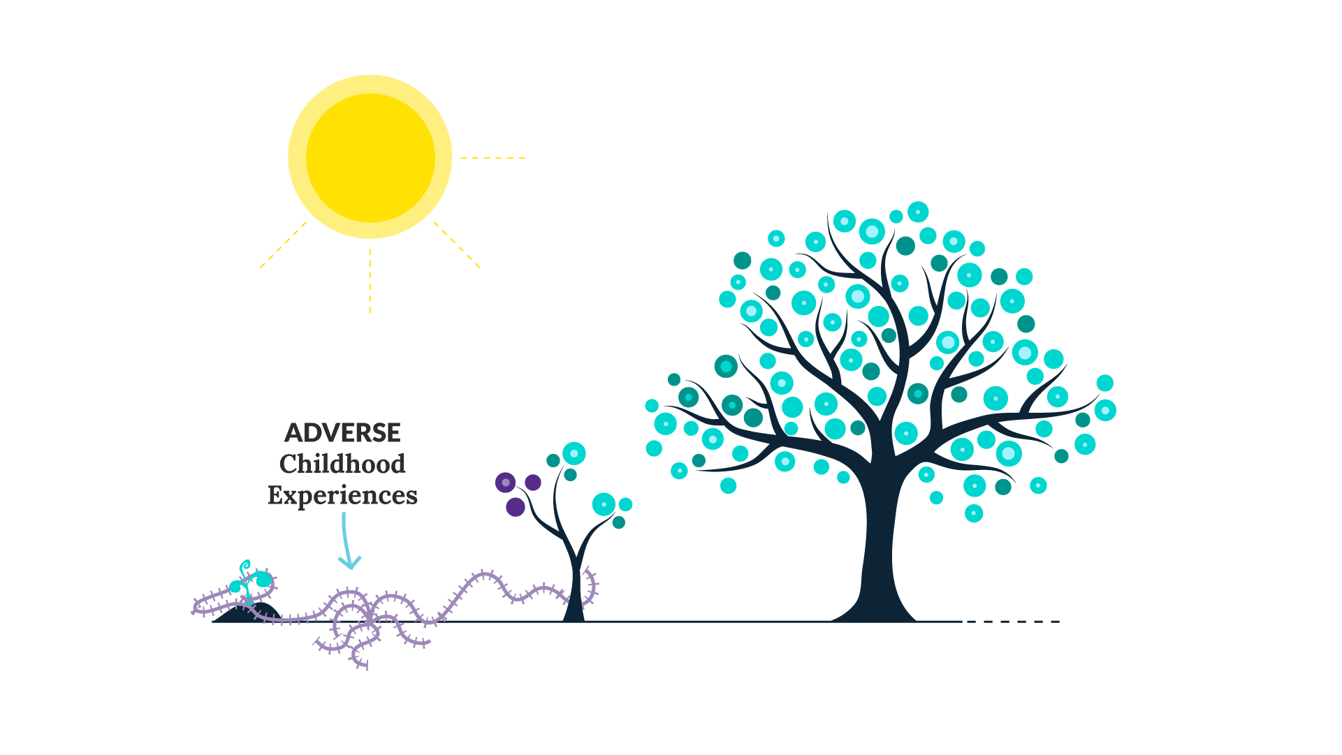 A line of trees from seedling to sapling.  Weeds are taking over a seedling before it becoming a sapling