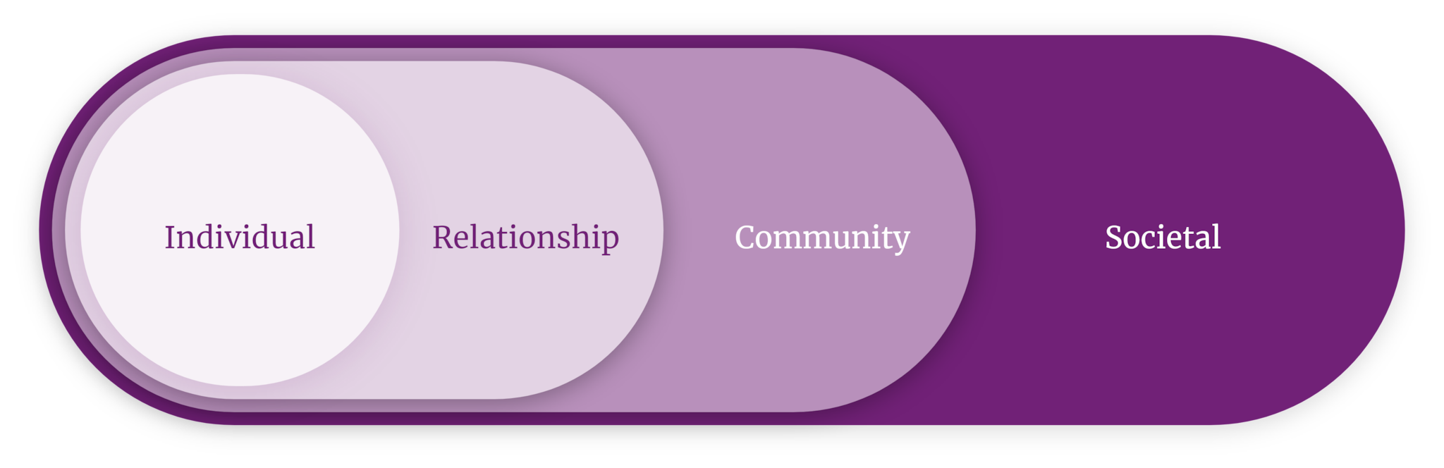 Diagram depicting the relationship between individual, relationship, community, and societal levels of society